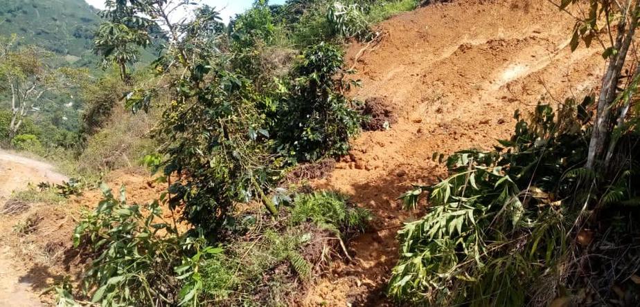 Innumerables pérdidas en Pitalito por inundaciones y deslizamientos