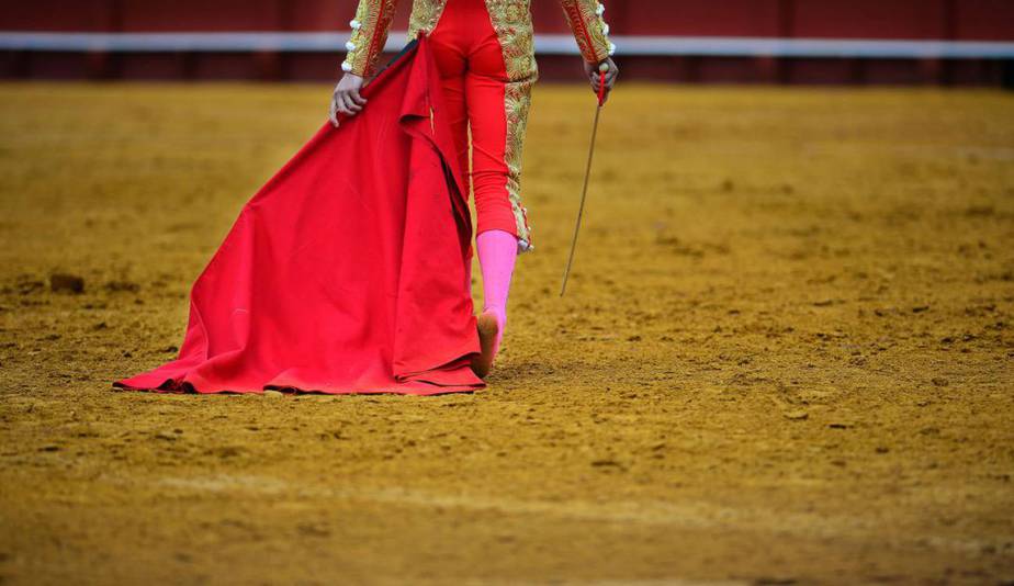 Tauromaquia no será declarada como Patrimonio Cultural de la Humanidad: Unesco