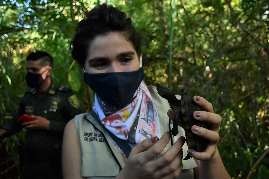 Fauna silvestre volvió a su hábitat natural
