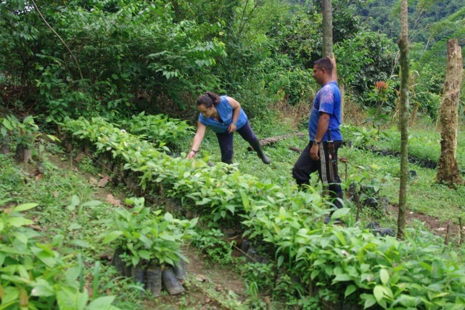 En el Huila existen 500 excombatientes en proceso de reincorporación