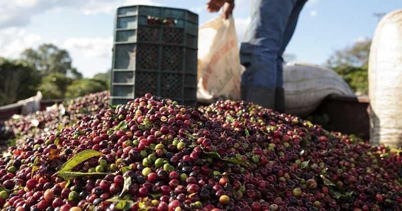 Recuperación de las regiones la marcaron el agro y las finanzas