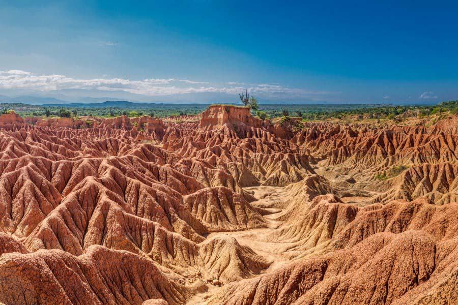 La OMS, también destacó unas medidas específicas para los procesos internos de cada establecimiento.