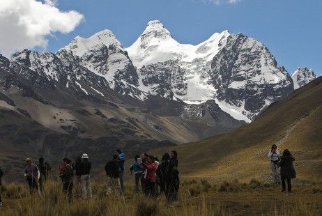 Dos nuevas especies de plantas son descubiertas en los Andes peruanos