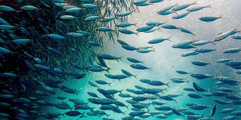 El viento extiende los microplásticos a zonas limpias de los océanos