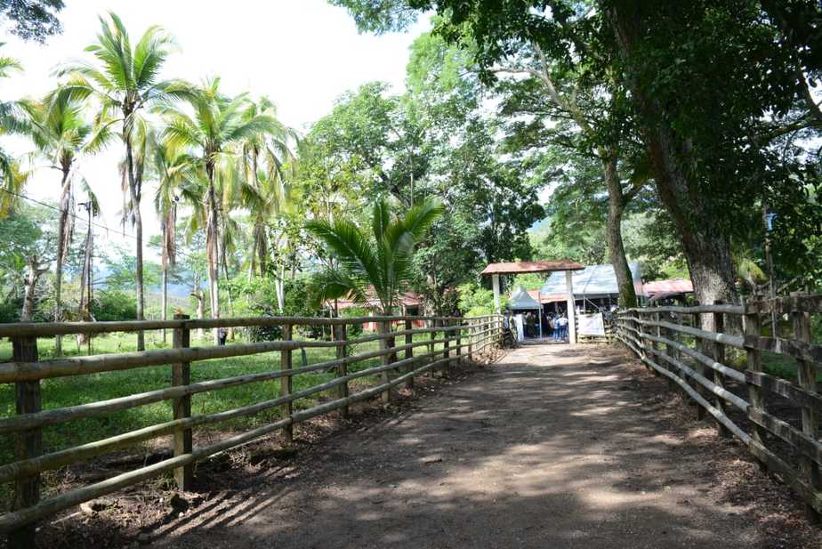 En este predio se pondrán en marcha varios proyectos productivos.