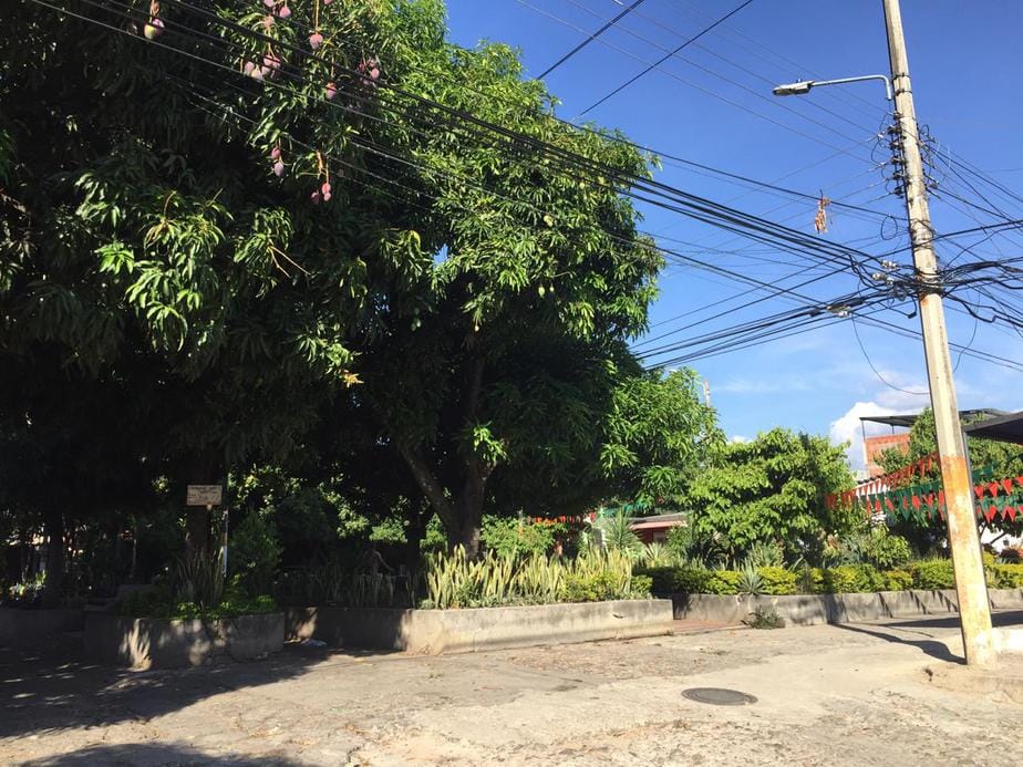 Consumo de drogas tiene preocupados a los habitantes de Las Mercedes