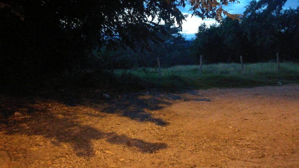 Zonas verdes son utilizadas para el consumo de alucinógenos.