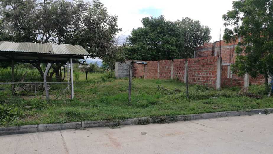 Zonas verdes del barrio son utilizadas para el consumo de drogas.