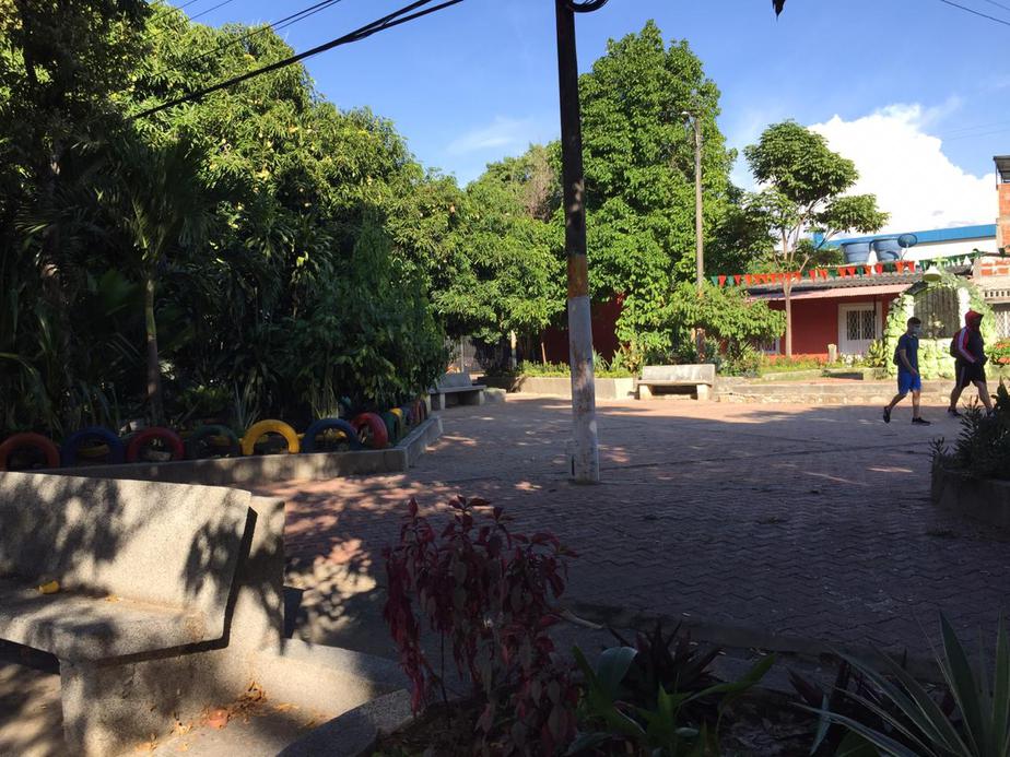 Parques principales son utilizados para el consumo de alucinógenos.