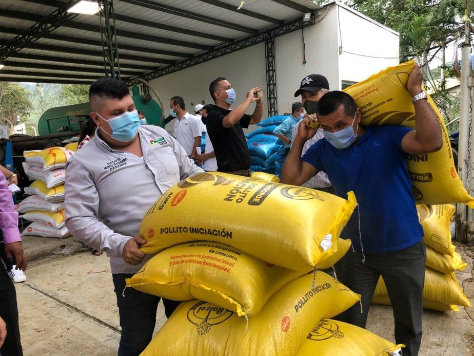 Banderillas y picotazos