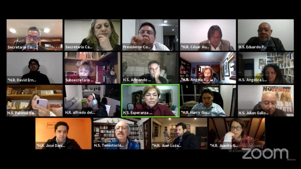 El último debate de esta iniciativa legislativa se realizó en la plenaria del Senado, con la ponencia de la senadora conservadora Esperanza Andrade Serrano, siendo aprobada por unanimidad.