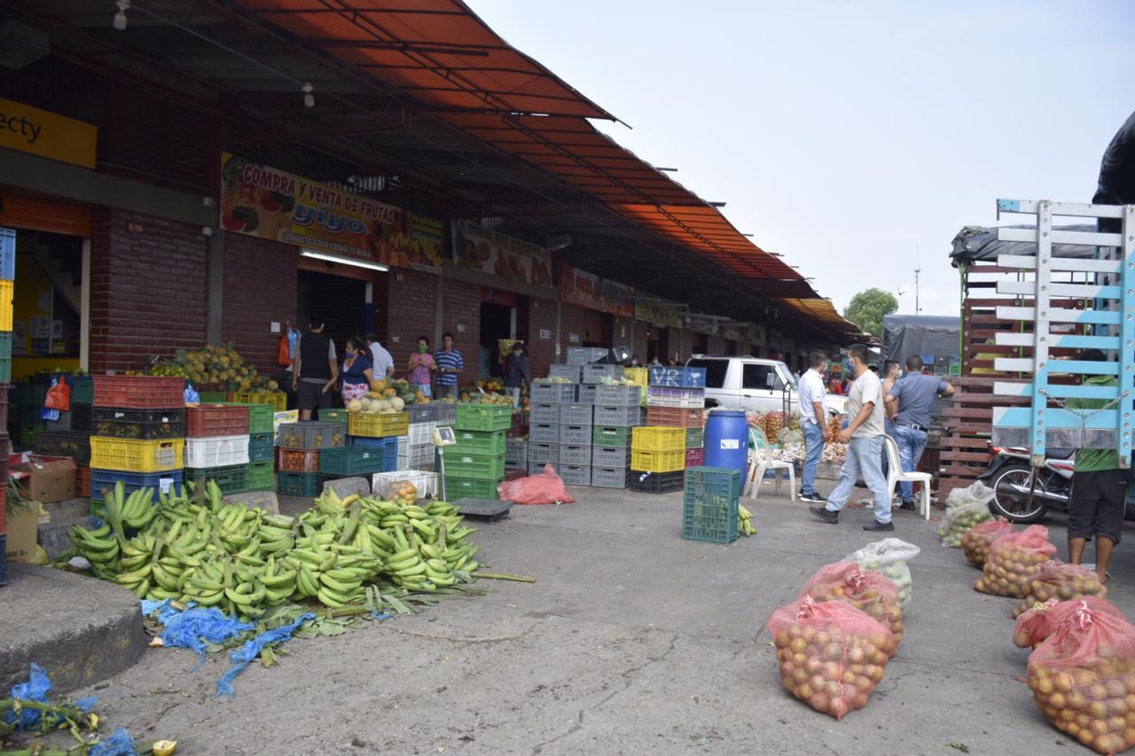 Alarmante alza en precios de las verduras