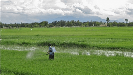Arroceros postergan movilizaciones