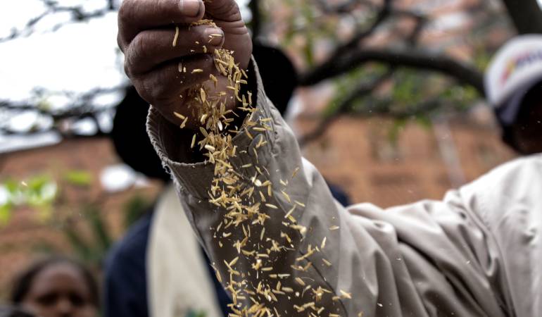 El TLC con Estados Unidos, según el gremio, es otro factor que perjudica a la comercialización local.