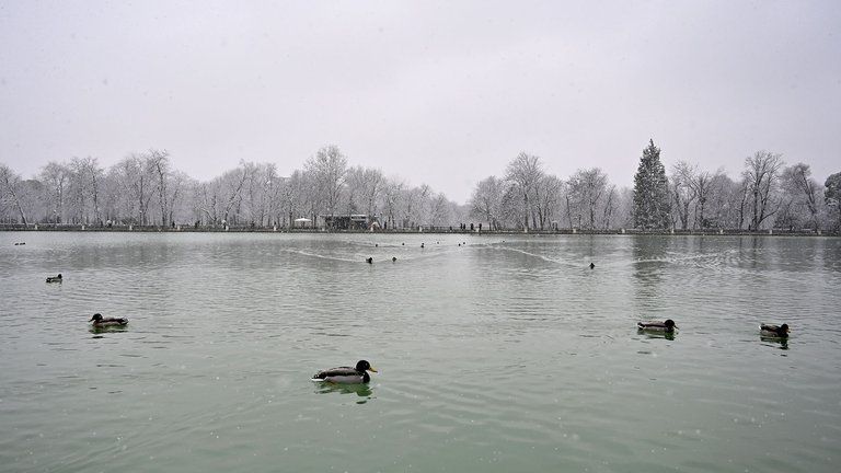 Los cortes de carreteras y la suspensión de todas las actividades deportivas se han extendido.