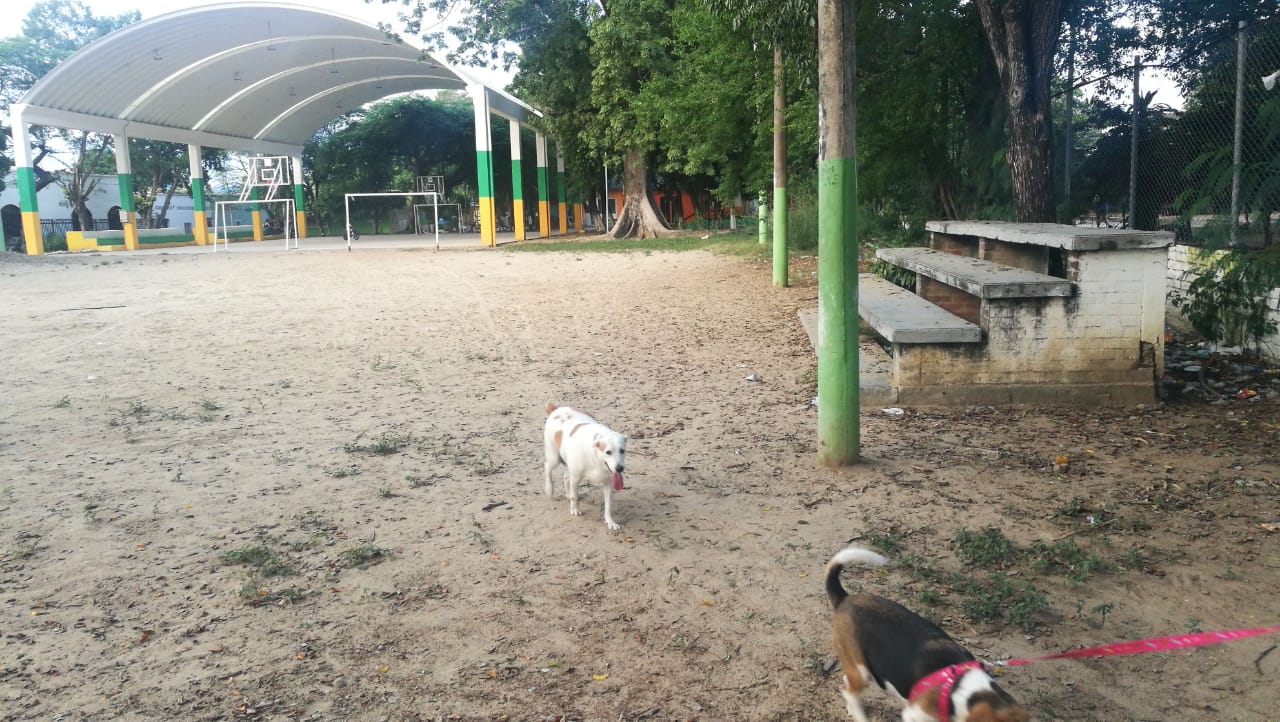 Drogadicción y delincuencia aumentó en ‘Cándido Leguizamo’