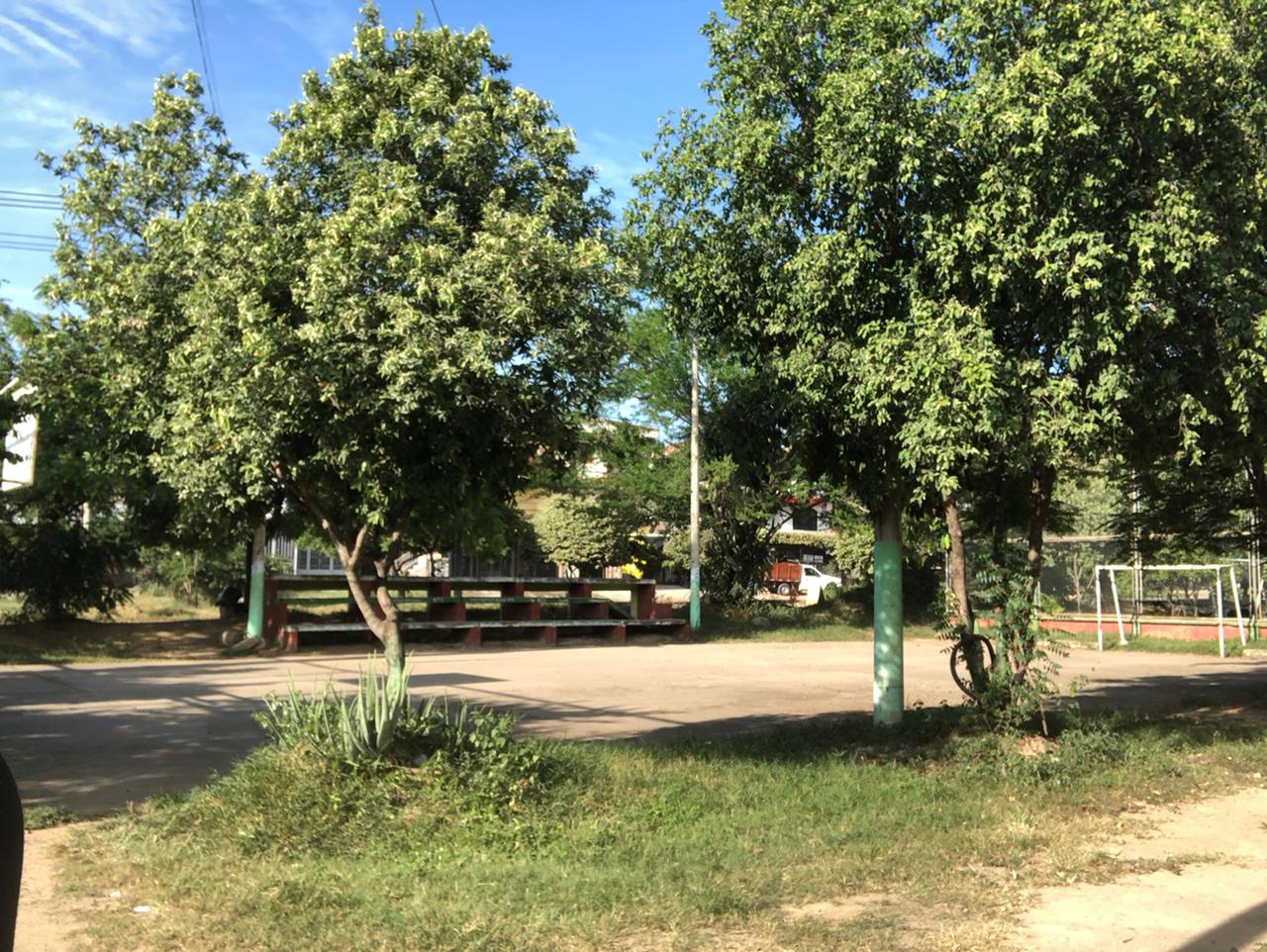 Escenarios deportivos son utilizados para el consumo de alucinógenos.