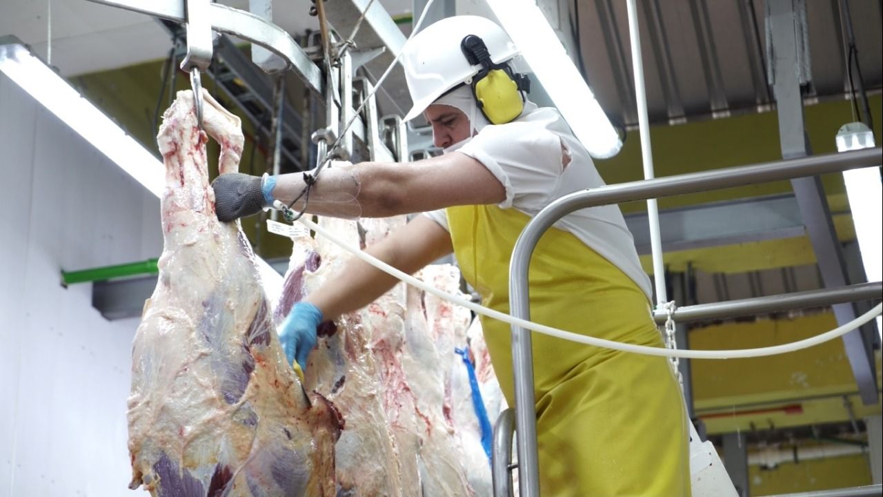 Exportaciones de carne de res y bovinos en pie sumaron USD 231,2 millones a noviembre de 2020