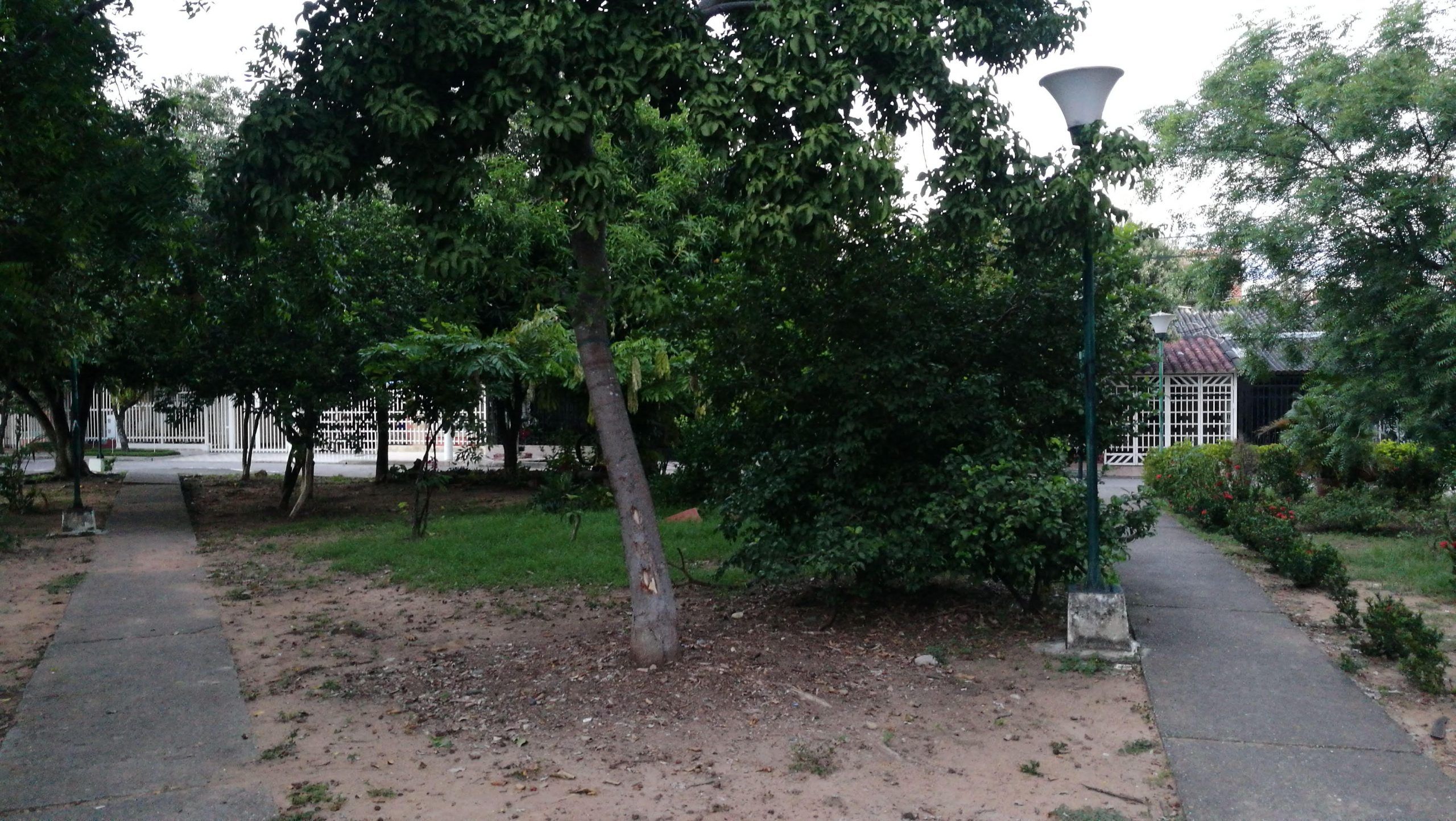 Falta de iluminación causa inseguridad en el barrio Colmenares