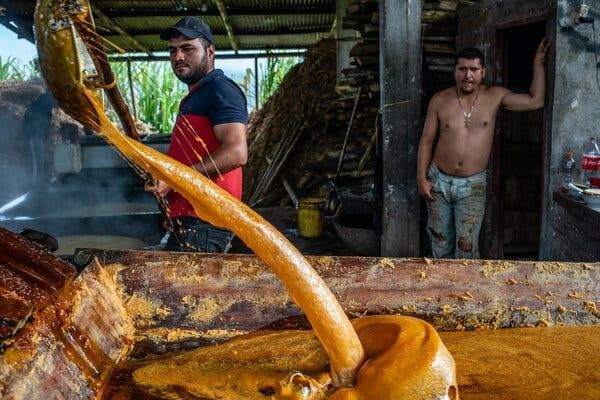 Más de 20.000 paneleros en Colombia en riesgo por una patente absurda