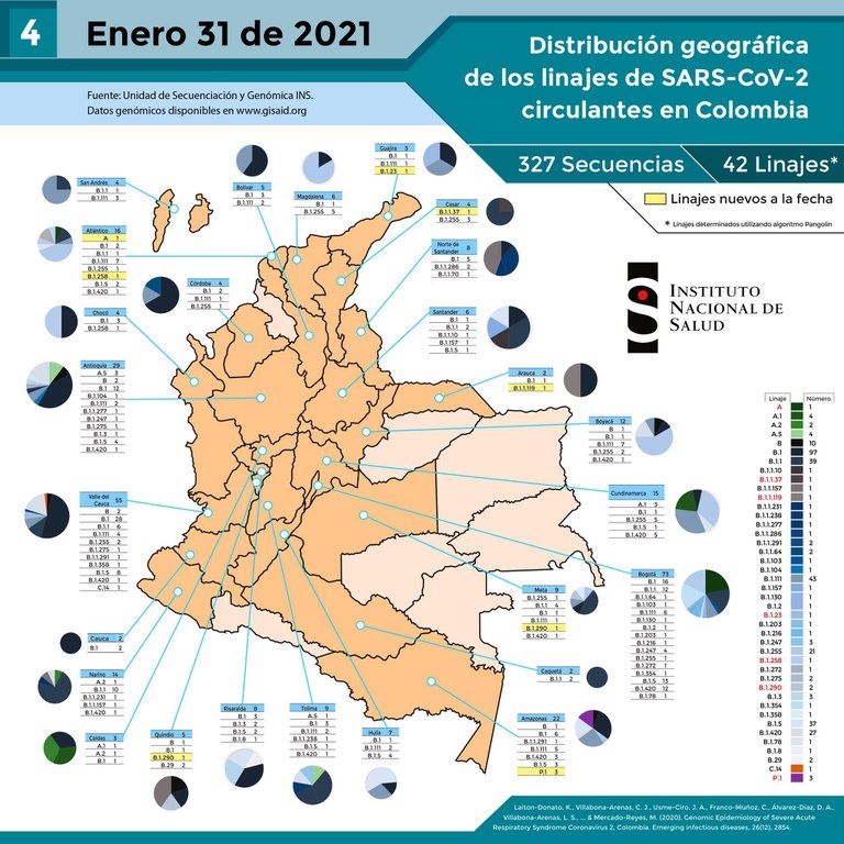 El Instituto Nacional de Salud (INS) confirmó que en Colombia se han detectado 327 secuencias y 42 linajes del SARS-CoV-2. 
