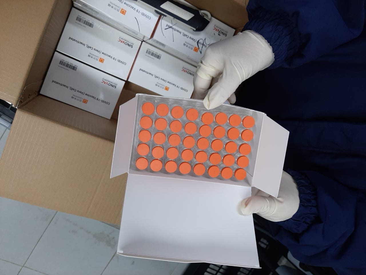 Llegaron al Huila 4.426 dosis de CoronaVac