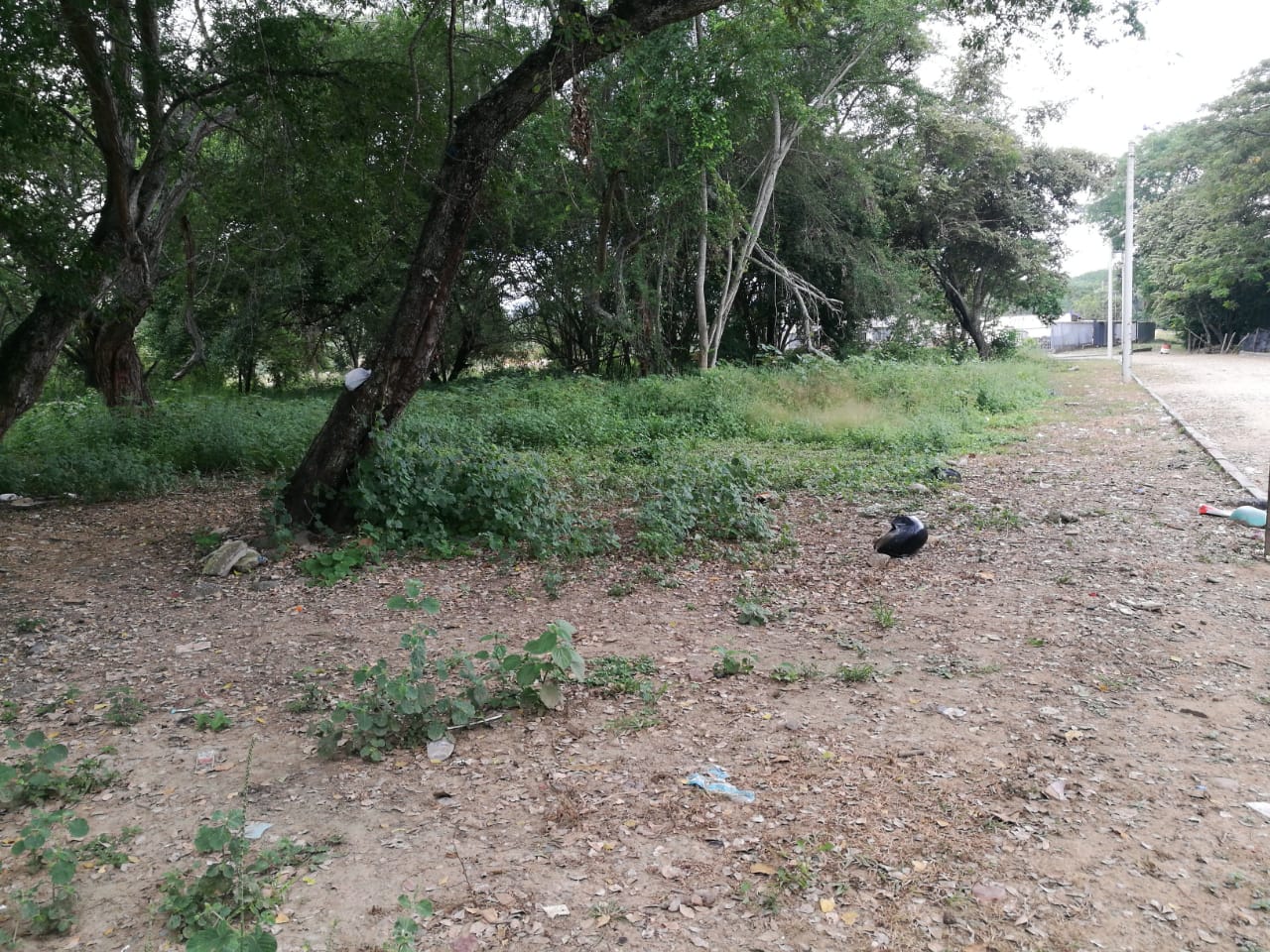 Para los habitantes, el consumo de drogas en los escenarios recreativos, propicia posteriormente la delincuencia en la ciudad.