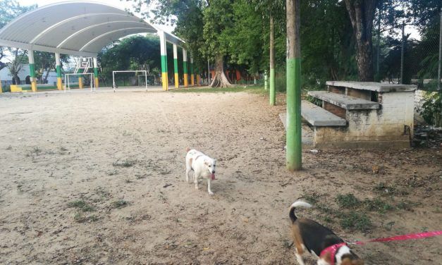 Según comunidad, los robos a mano armada han aumentado considerablemente.