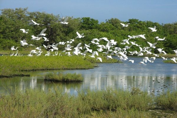 Hoy es el Día Mundial de los Humedales