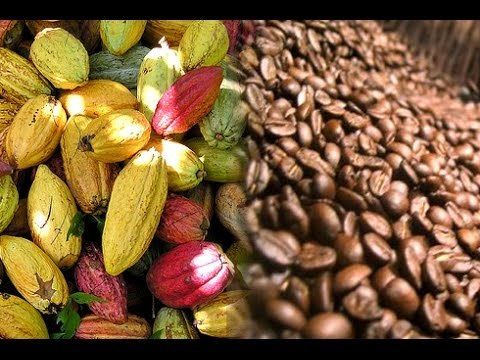Huila sede de feria internacional de café y cacao el 2021