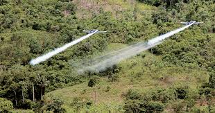 Retoman medidas para aspersiones con glifosato