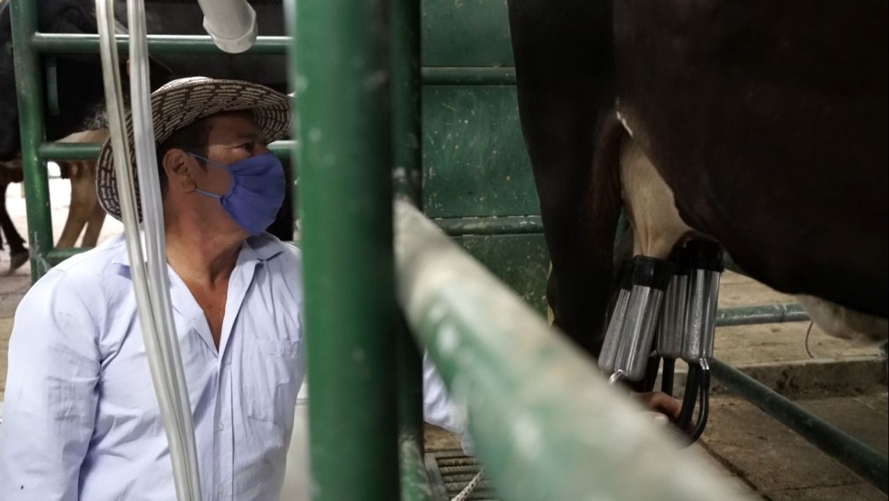 En 2020 la industria importó 73.663 toneladas de lácteos