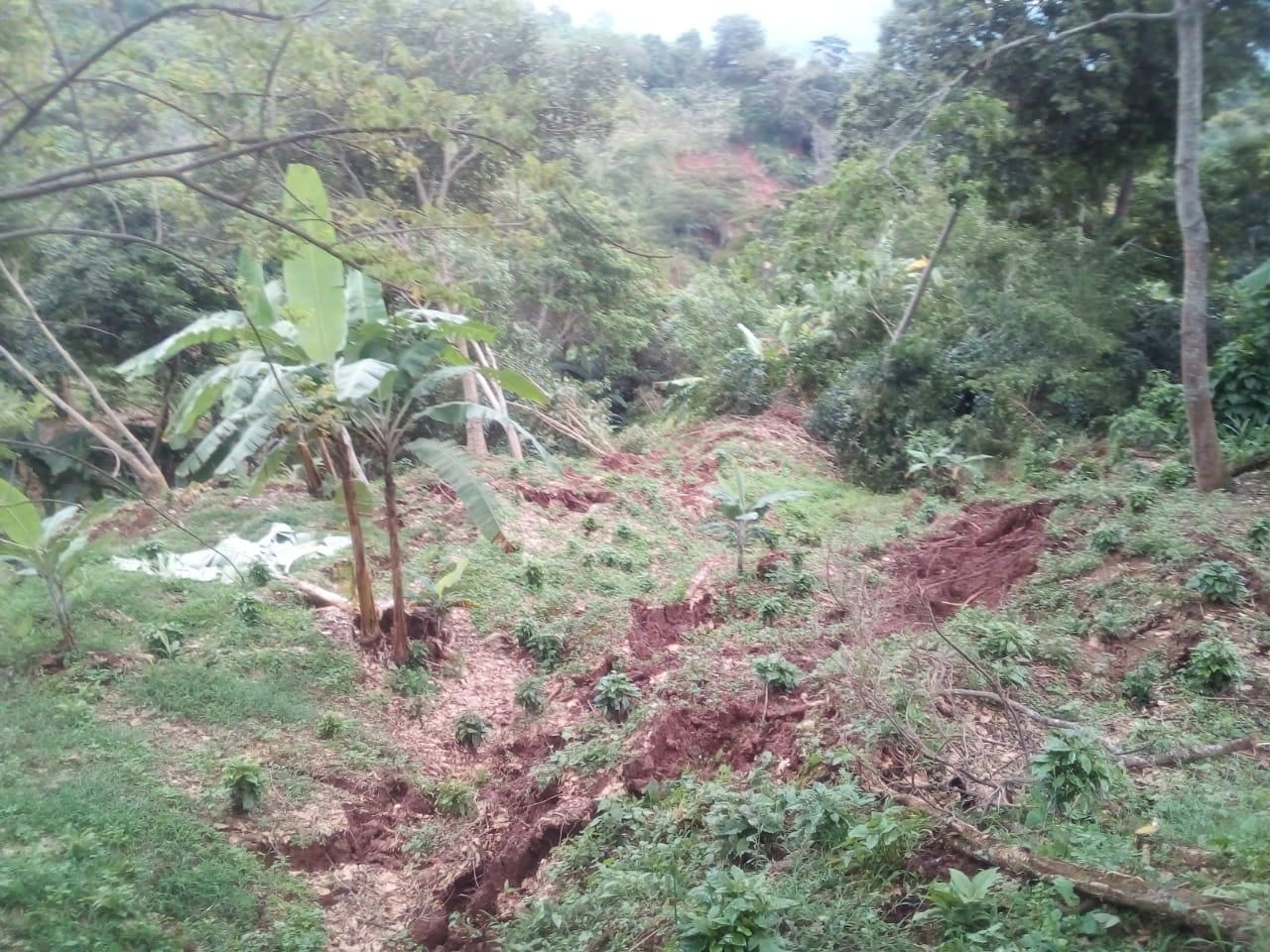 Fuertes lluvias en Timaná podrían generar represamiento en las quebradas