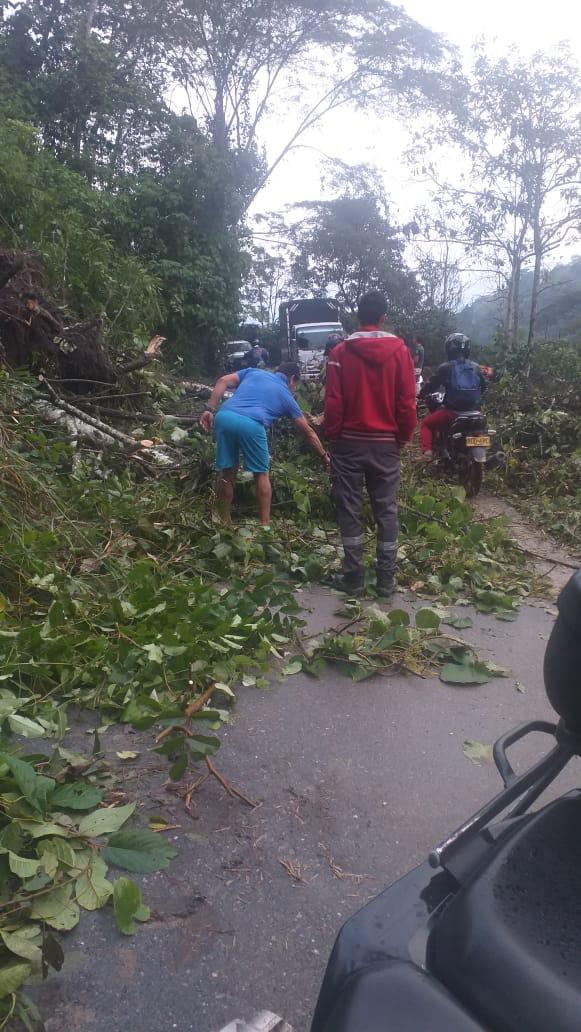 Las cifras que hasta el momento se tiene de acuerdo con el reporte entregado por los diferentes Consejos Municipales para la Gestión del Riesgo de Desastre -CMGRD-, son tres personas muertas y dos heridas.