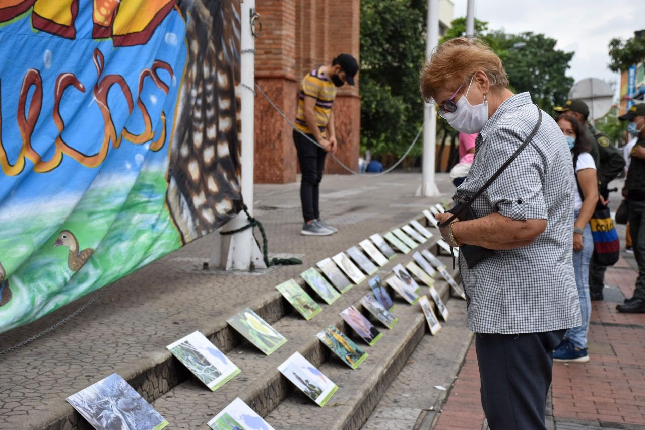 La corporación encargada de la defensa del medio ambiente, indicó que ya hay un Plan para proteger estos espacios.