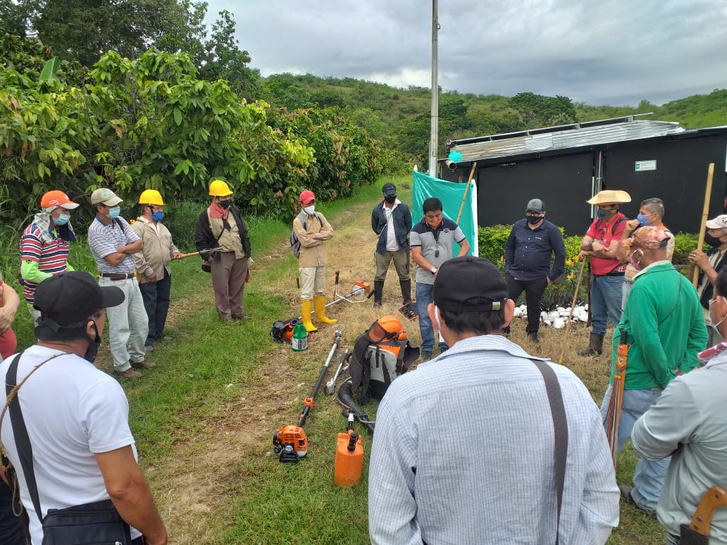 Cacaoteros del Huila recibirán herramientas para beneficio de sus cultivos