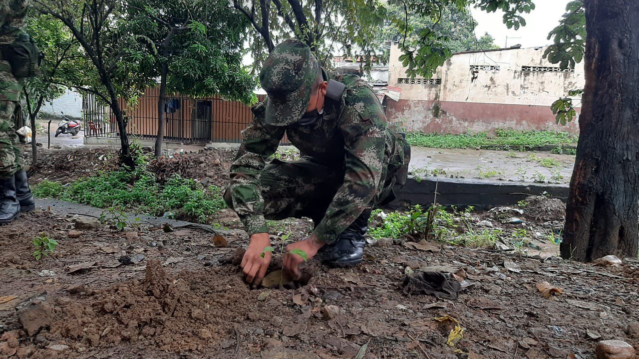 Soldados y habitantes de la comuna 8 se unieron para realizar labores de reforestación