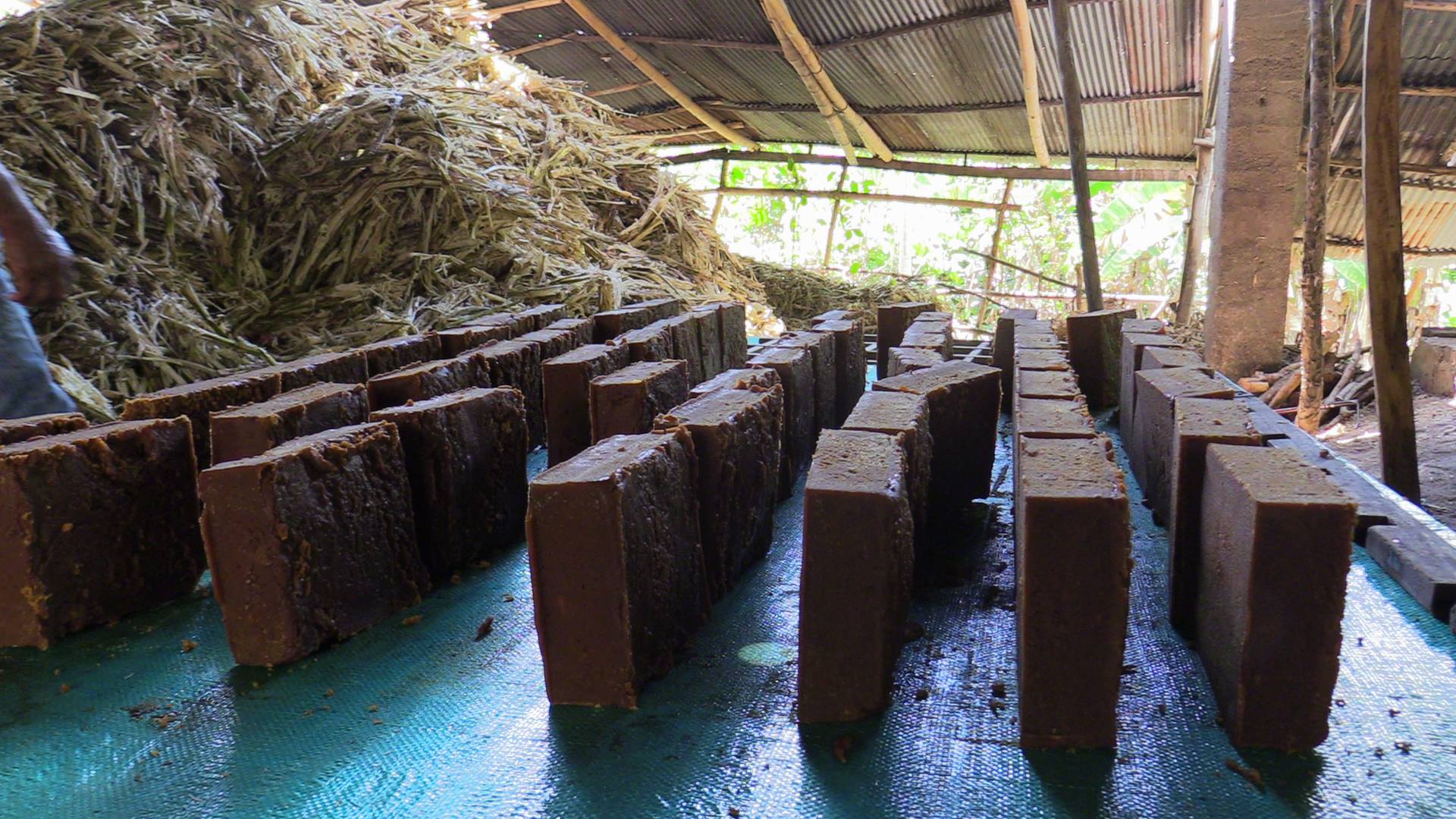 El Huila le apuesta a la producción orgánica