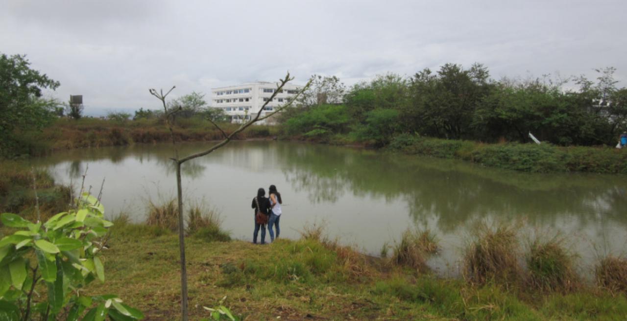Según la administración municipal, se están adelantando labores para proteger El Chaparro bajo lineamientos del Plan de Manejo Ambiental que autorizó la Cam.