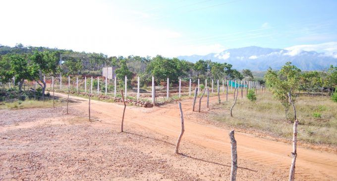 ¡Ojo, no se deje estafar! Delincuentes están vendiendo lotes ilegales en Neiva