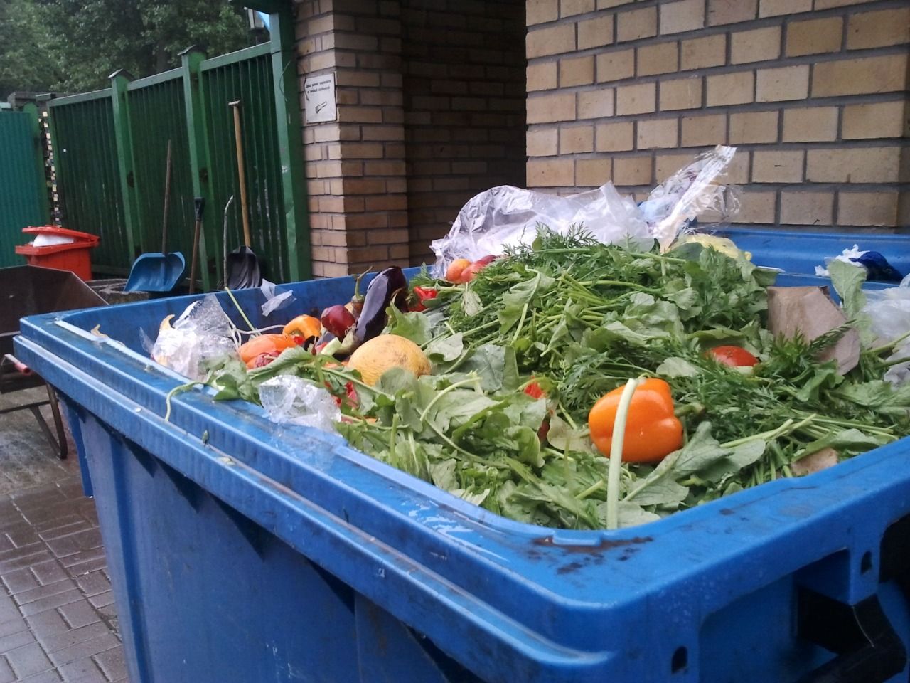 ‘Casi un 20 % de los alimentos se desperdician en el mundo’