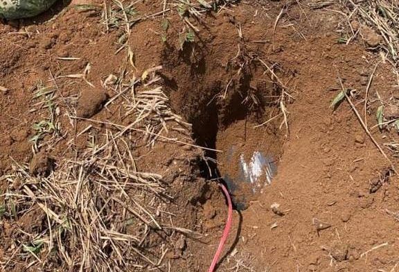 Frustran acción terrorista contra helipuerto que iba a recibir vacunas anti Covid en el Catatumbo
