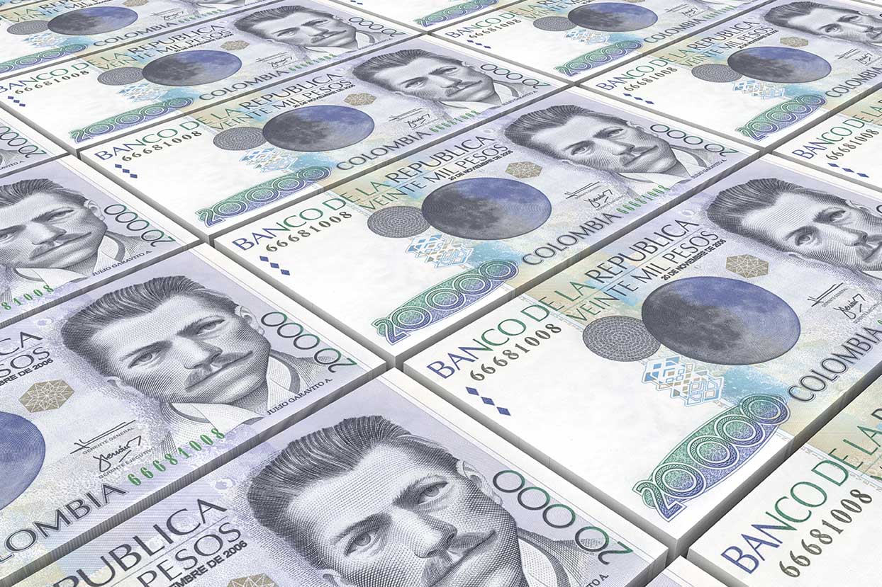 ¿Cómo se han distribuido los recursos del Fome?