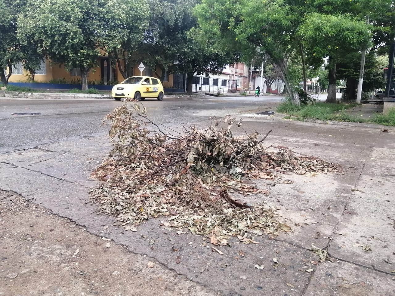 Vecinos de San José se quejan por abandono del sector