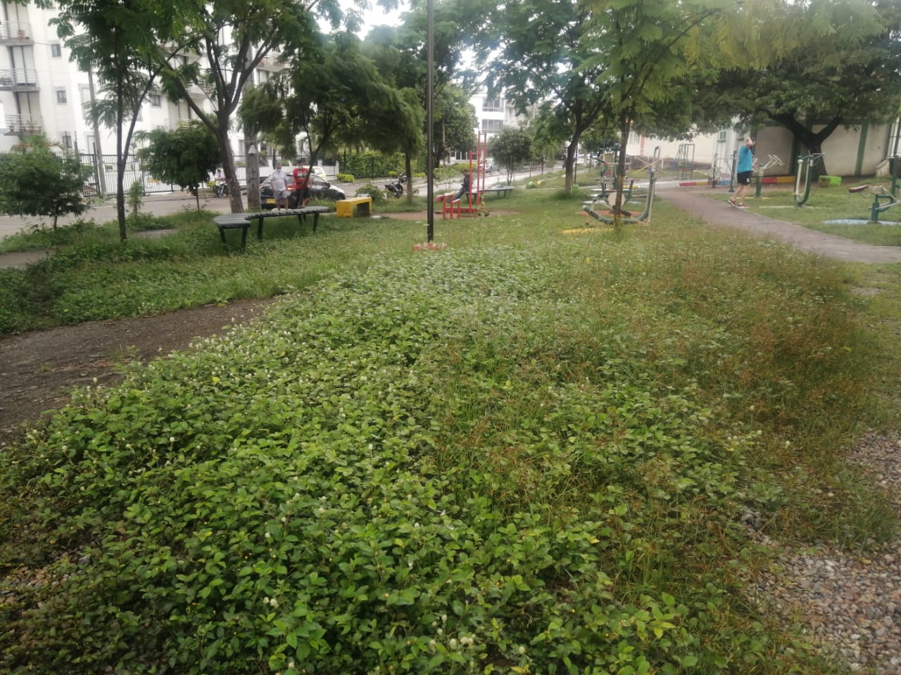 Exterior de la cancha de Las Brisas invadida por maleza