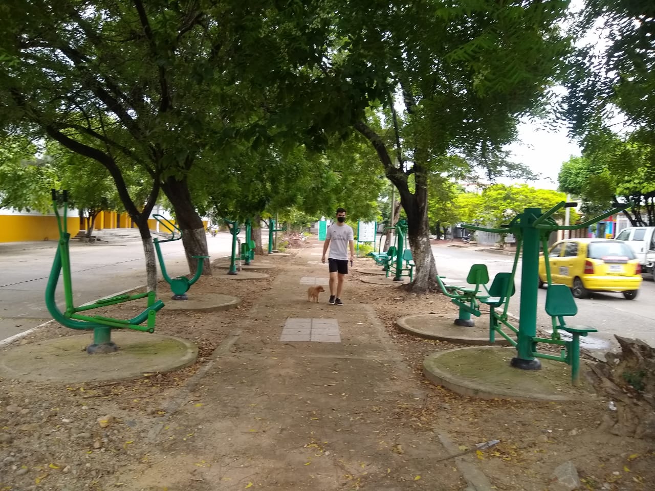 Algunos sacan a pasear sus mascotas