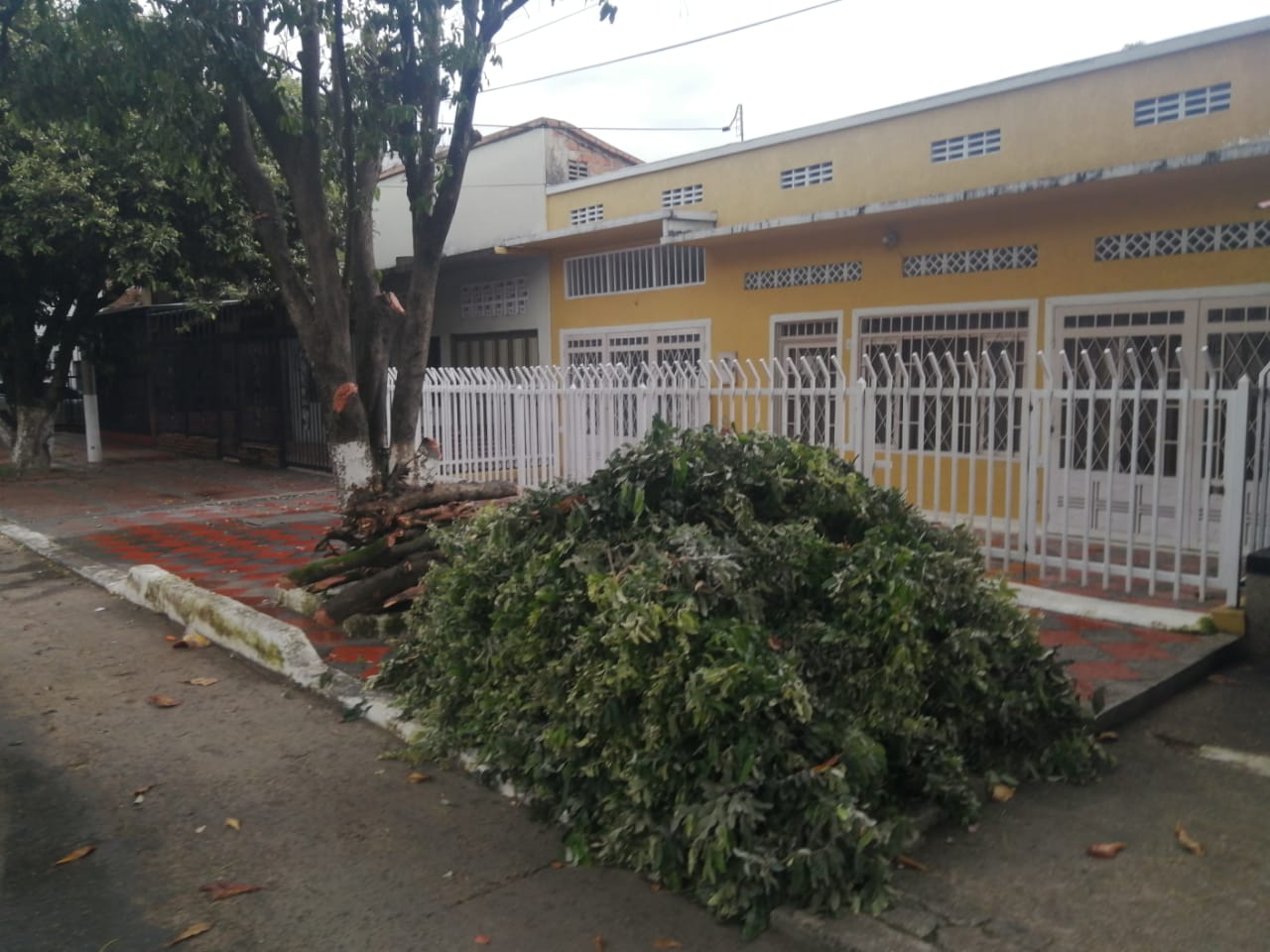 Arrojan basura y desechos frente a las viviendas