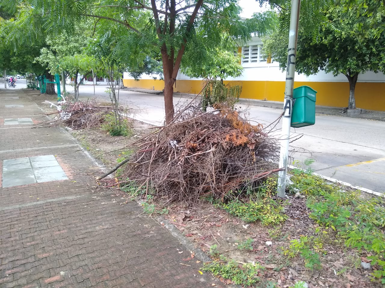 Las basuras se encuentran en un costado. Ciudad Limpia no las ha recogido