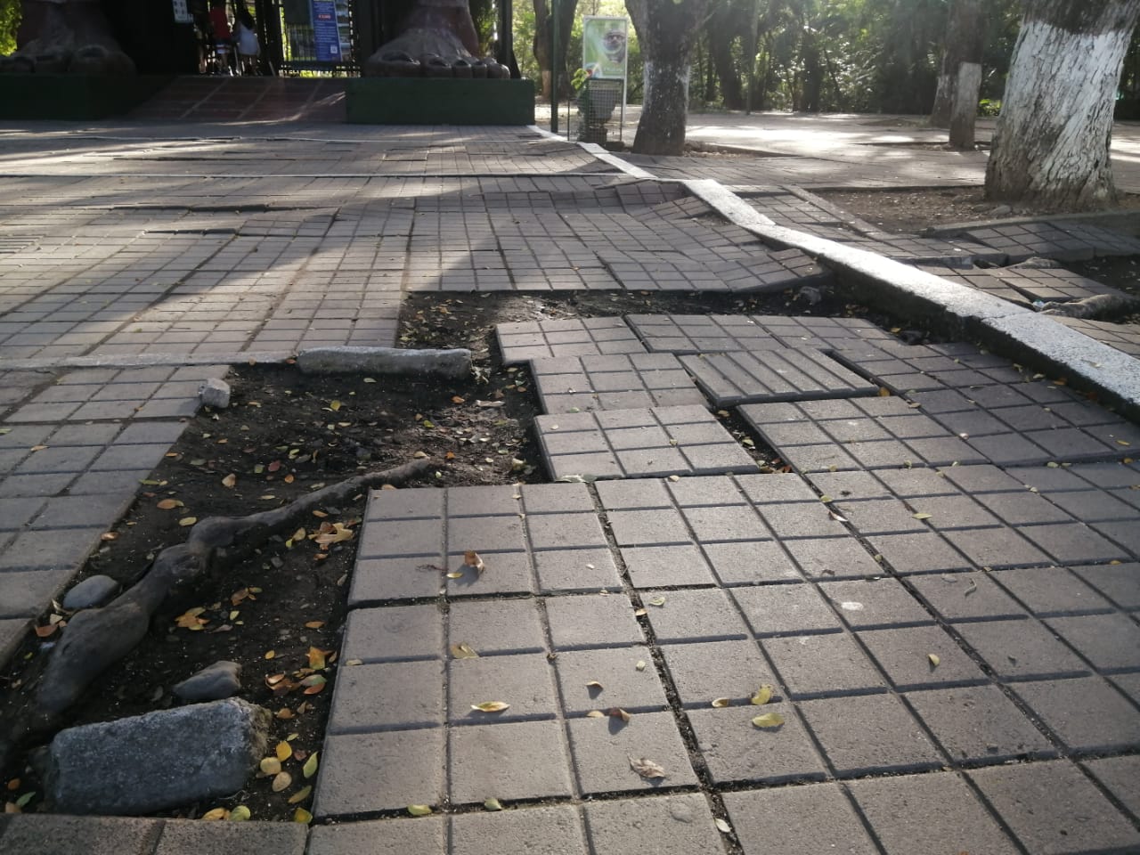 Pisos que se deben recuperar en la zona externa