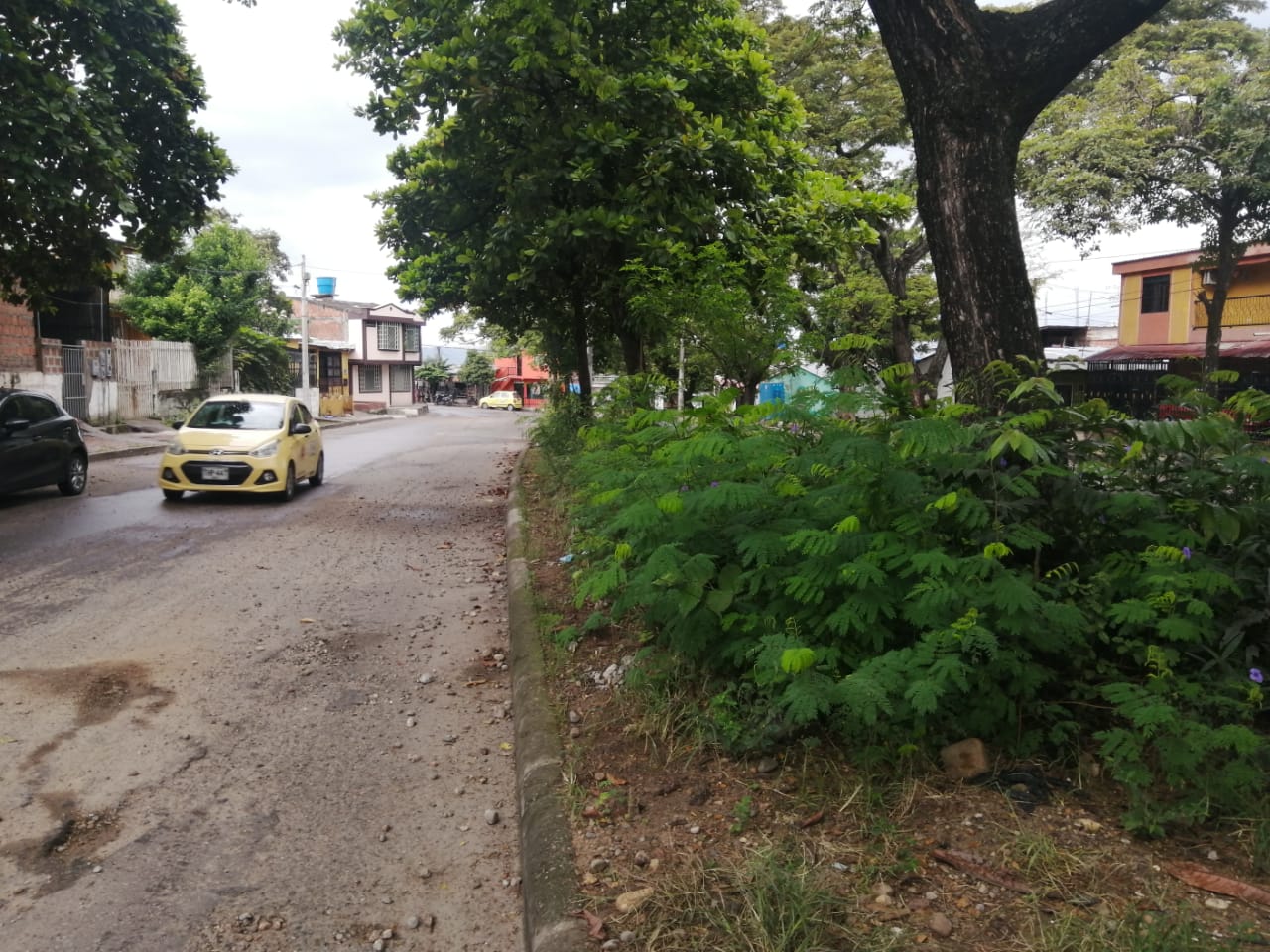 El separador de la avenida también está en un estado deplorable, se enmonta y se convierte en una trampa para los transeúntes